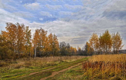 975411 (a): :2560x1629